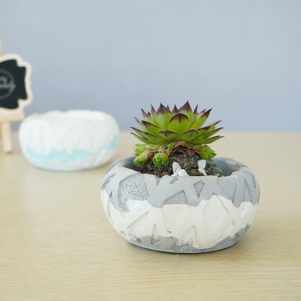 Ribbon Planters