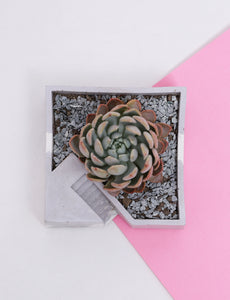 Marbled staircase organisers/planters