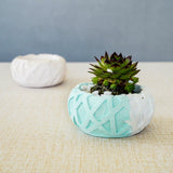 Ribbon Planters