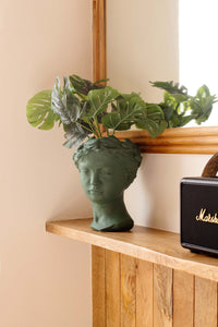 YC Venus Vase/Planter