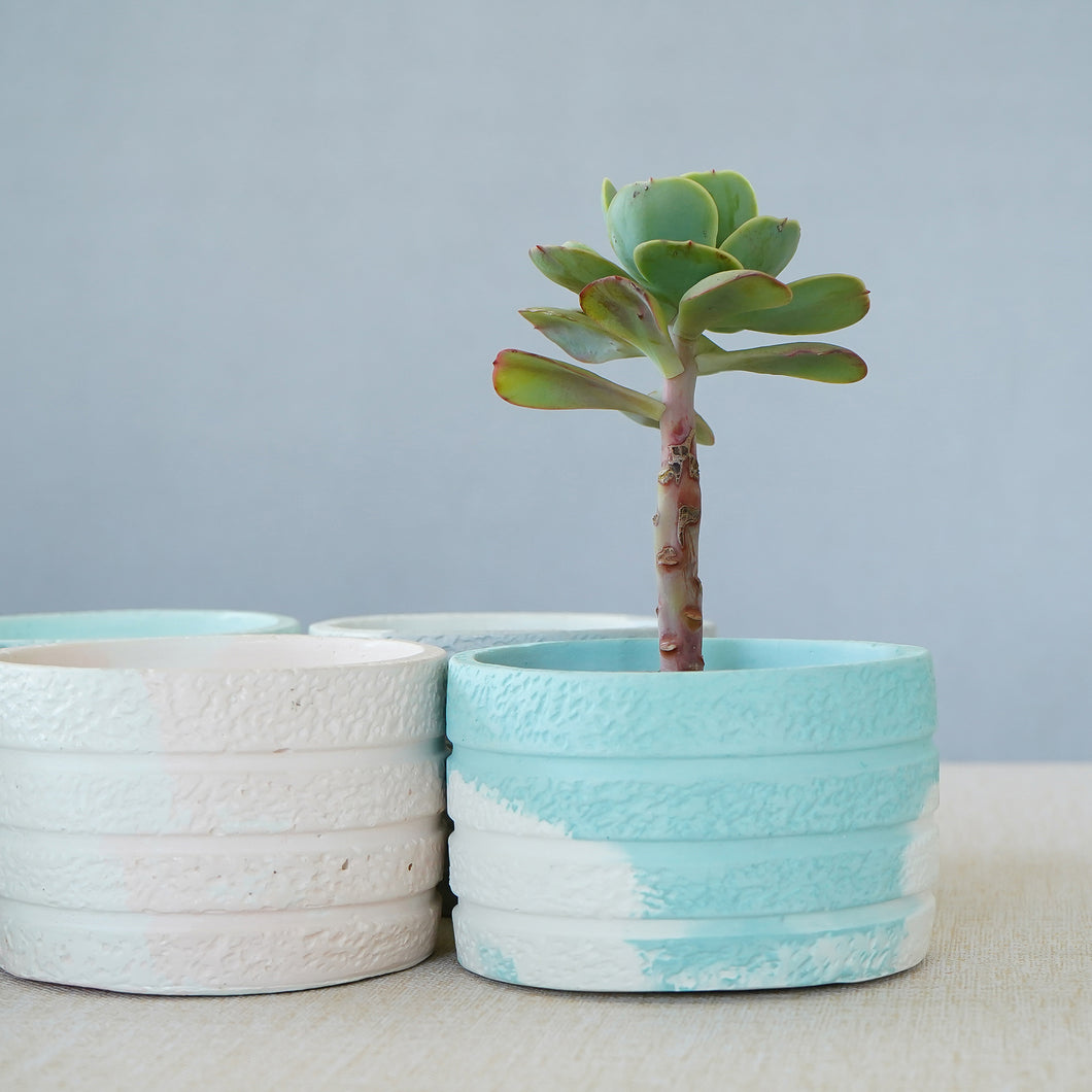 Planter/Organiser 