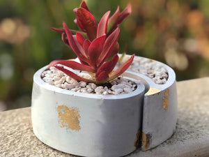 Yin Yang Planter Set