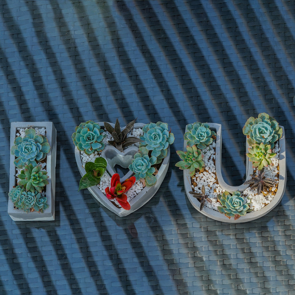 I Love You Gifting Set