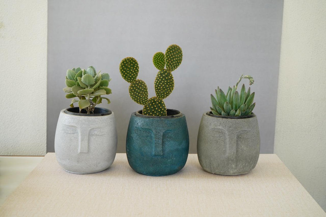 Face Planter/Organiser