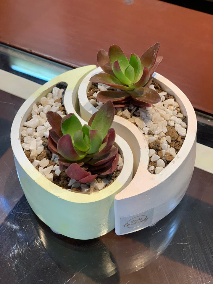 Yin Yang Planter Set