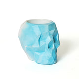 Skull pen holders