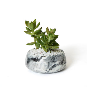 Planter
