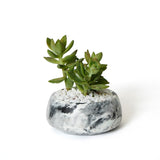 Planter