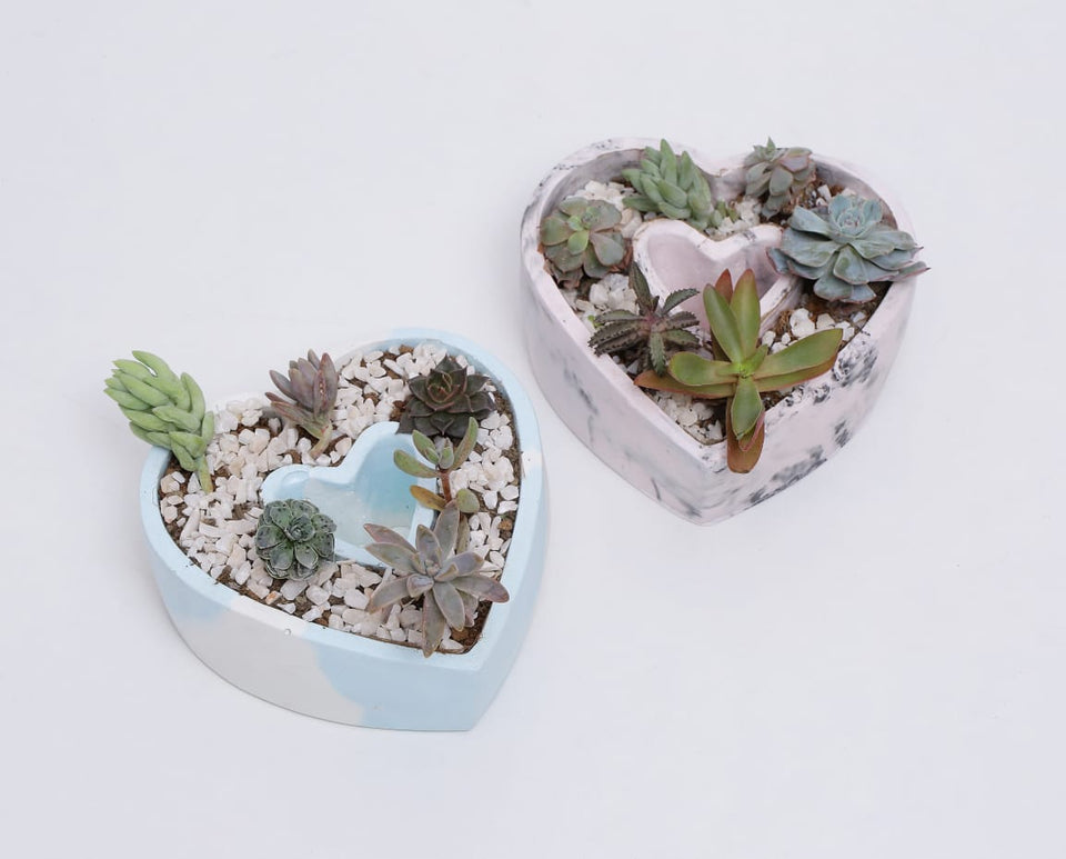 Marbled Love Planter