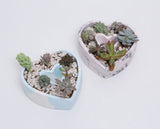Marbled Love Planter