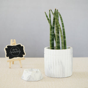 Planter/Organiser 