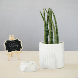 Planter/Organiser 