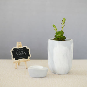 Planter/Organiser 
