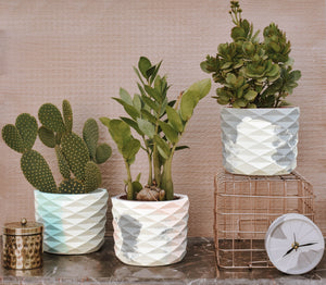 YC Honeycomb Planter