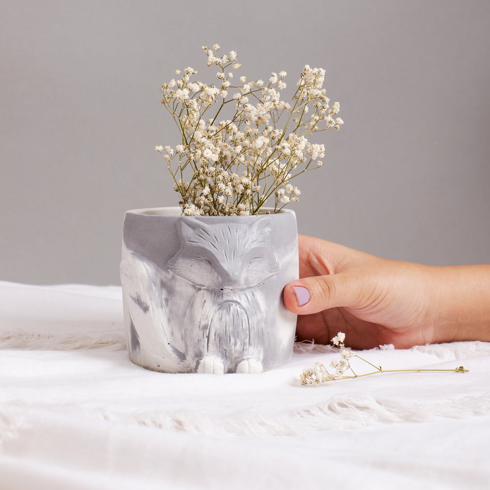 YC Vixen Planter/Organizer