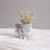 YC Vixen Planter/Organizer