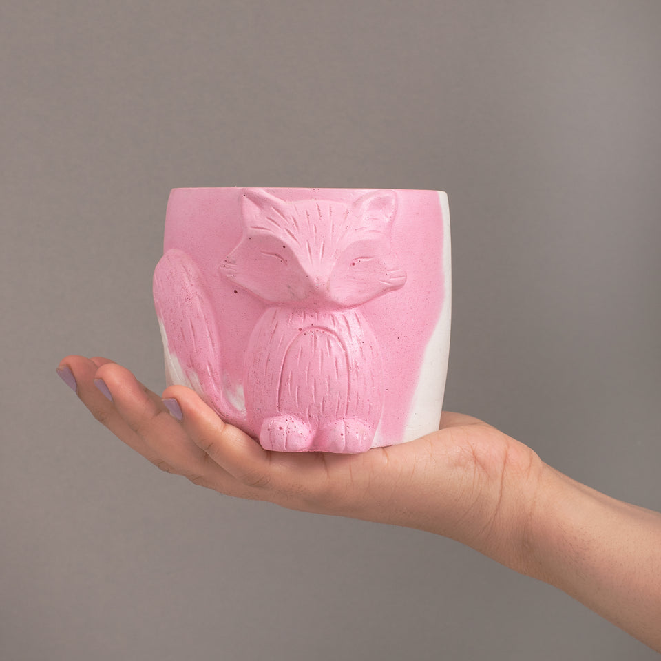 YC Vixen Planter/Organizer