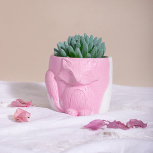 YC Vixen Planter/Organizer