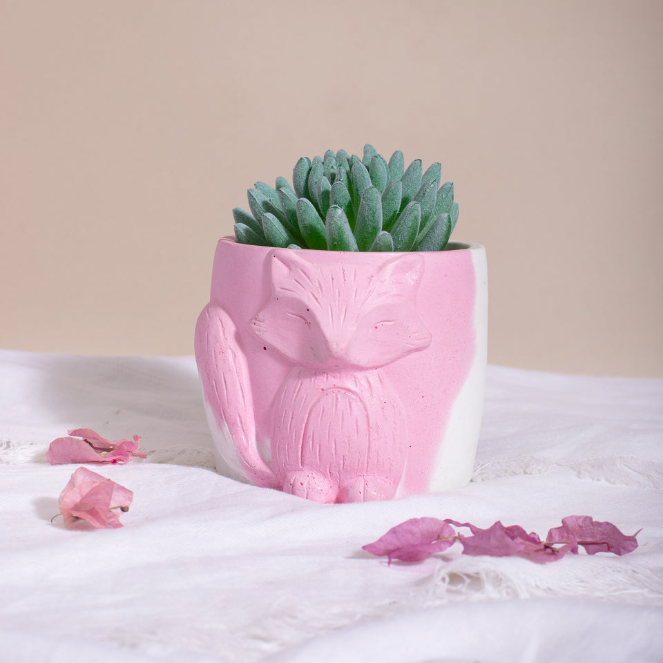 YC Vixen Planter/Organizer