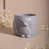YC Vixen Planter/Organizer