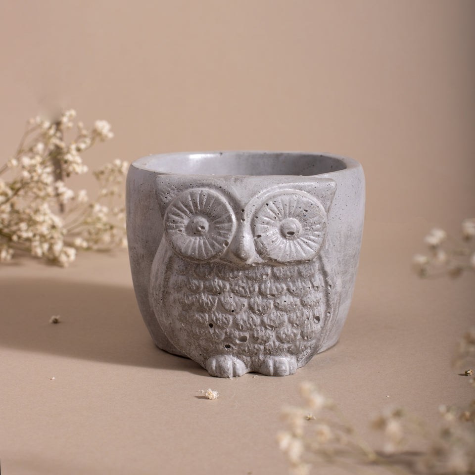 Owl Planter/ Organizer