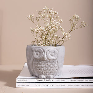 Owl Planter/ Organizer