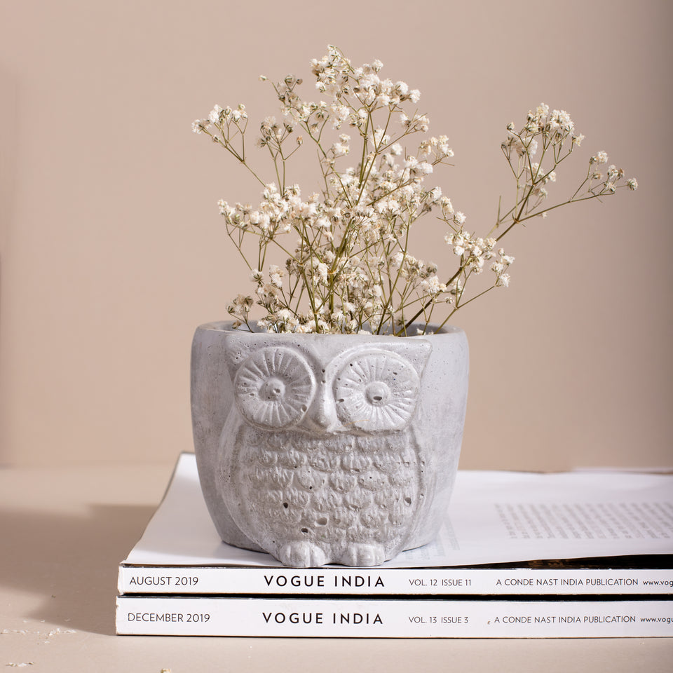 Owl Planter/ Organizer
