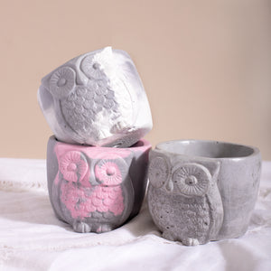 Owl Planter/ Organizer
