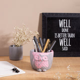 Owl Planter/ Organizer