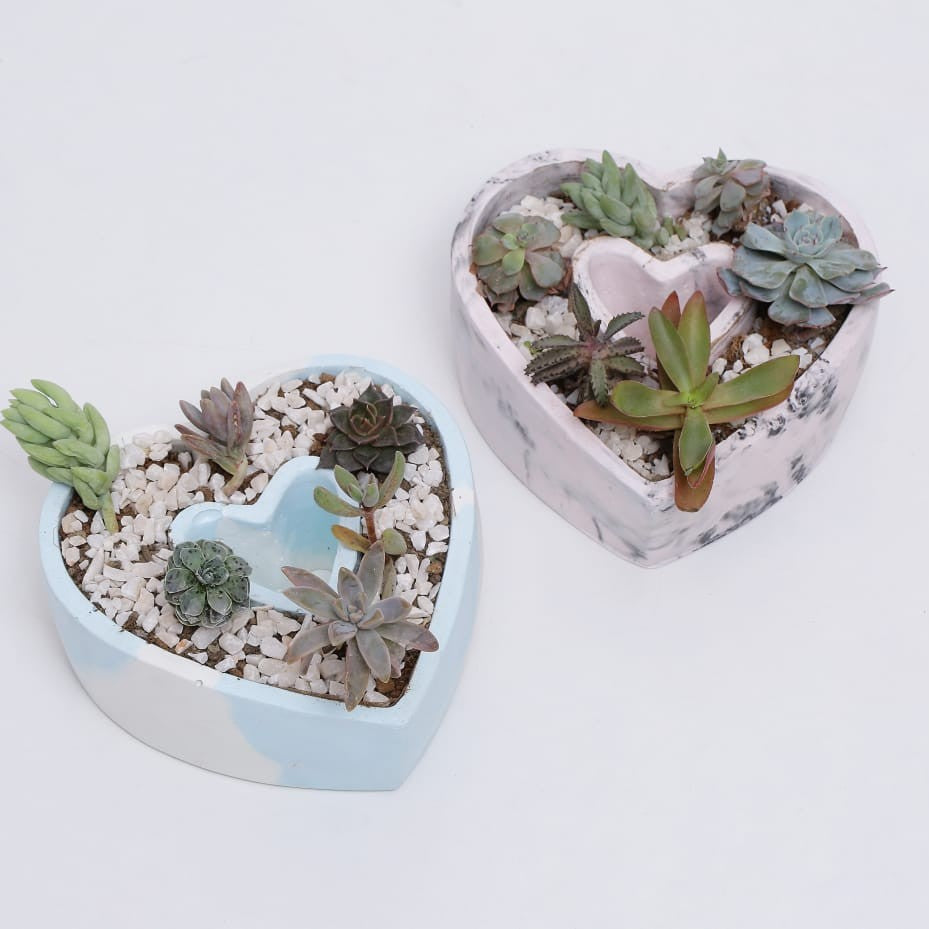 Marbled Love Planter