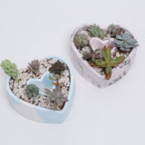 Marbled Love Planter